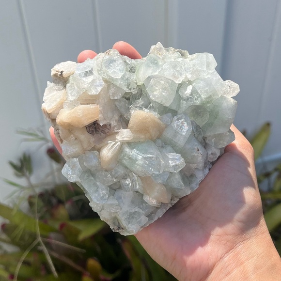 Apophyllite - Picture 7 of 7